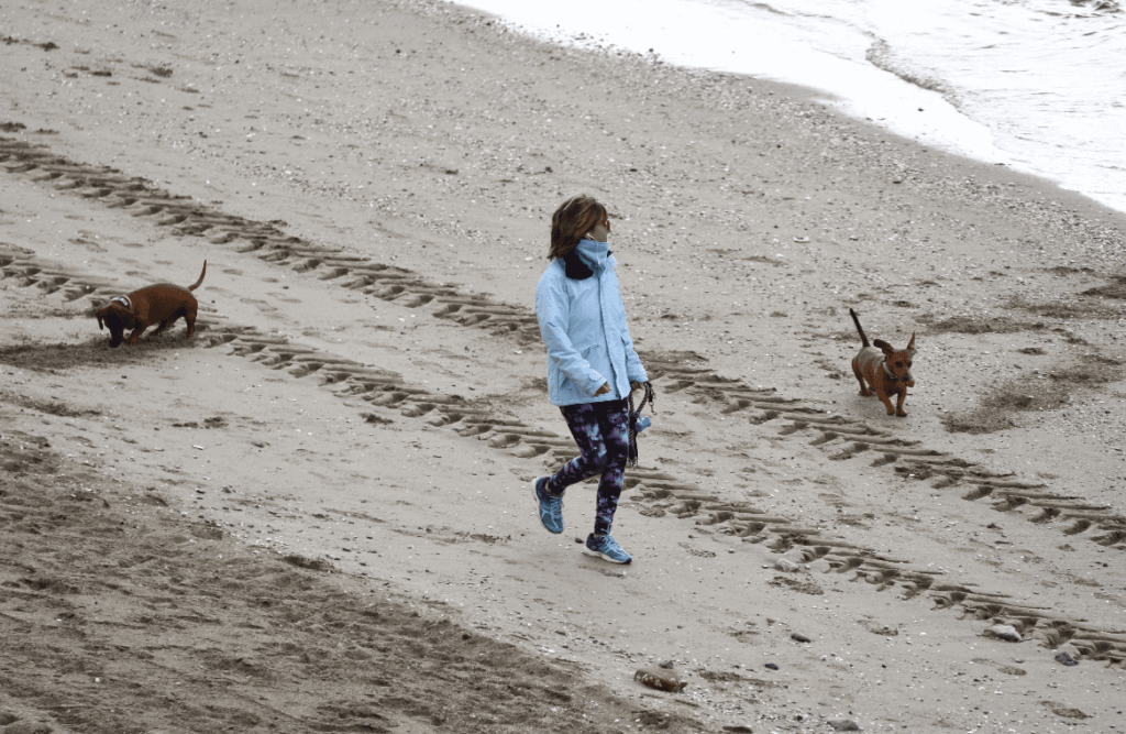 Mujer perros playa ribera antonio sempere