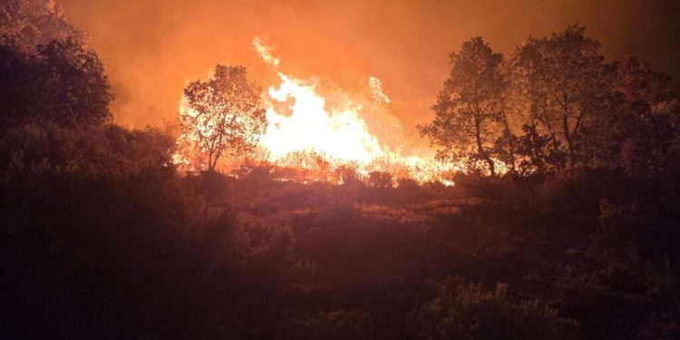 Vecinos de Cáceres y Salamanca se organizan ante el incendio más grande registrado en Extremadura