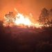 Vecinos de Cáceres y Salamanca se organizan ante el incendio más grande registrado en Extremadura