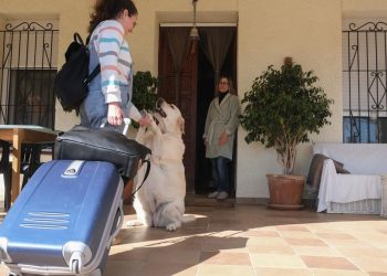 Vivienda y generaciones: el choque entre padres propietarios e hijos atrapados en la incertidumbre