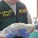 Golpe al narcotráfico: la Guardia Civil incauta dos toneladas de cocaína y desmantela un laboratorio en España