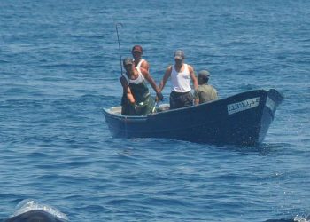 Detienen a tres hombres de Marruecos con un atún rojo de 90 kilos cerca del Puerto de Ceuta