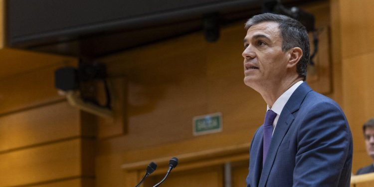 Sánchez prepara una intervención combativa para contrarrestar la ofensiva del PP en el Senado