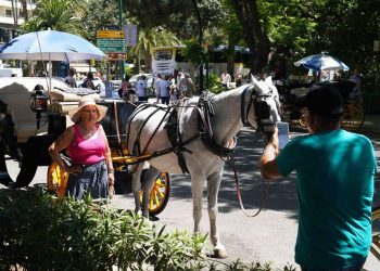 Málaga pone fin a los paseos turísticos en coche de caballos con indemnización millonaria