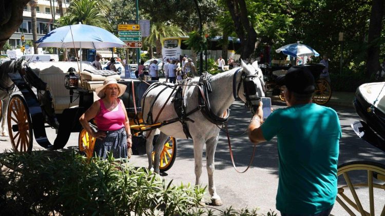 MLG 16-07-2024.-Cocheros en una parada de coches de caballos en la capital.