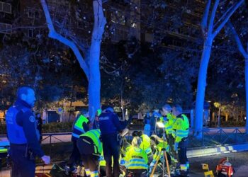 Los bomberos actúan en un contenedor humeando en el Paseo de las Palmeras