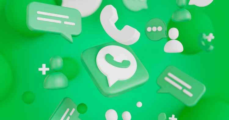 nuevo canal whatsapp