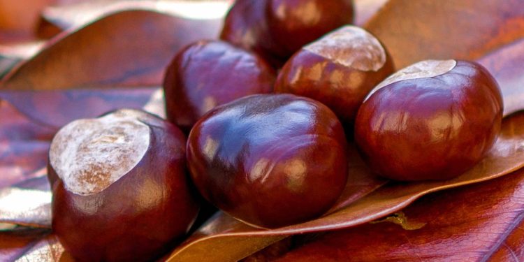 Postre de castañas y chocolate