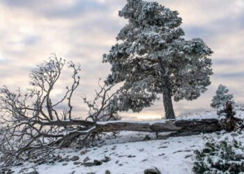 Aviso especial de la AEMET: España se prepara para un episodio de frío intenso y nieve en cotas bajas