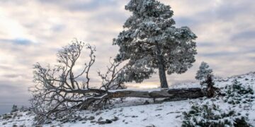 Aviso especial de la AEMET: España se prepara para un episodio de frío intenso y nieve en cotas bajas
