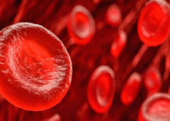 Por qué es vital controlar tus niveles de ferritina: lo que debes saber