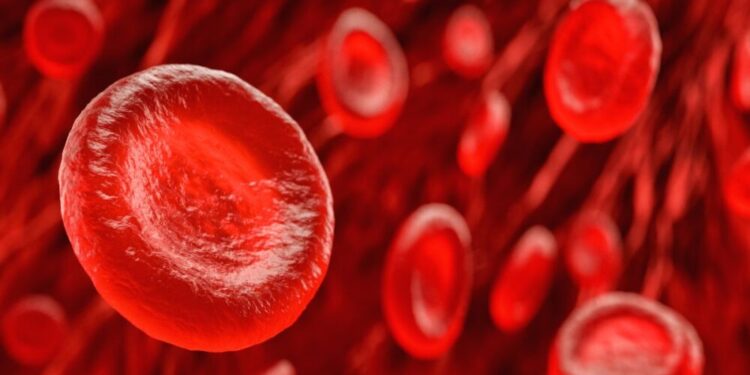 Por qué es vital controlar tus niveles de ferritina: lo que debes saber