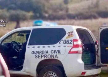 La Guardia Civil investiga a tres personas por usar fraudulentamente la D.O.P. “Pimentón de la Vera” en quesos