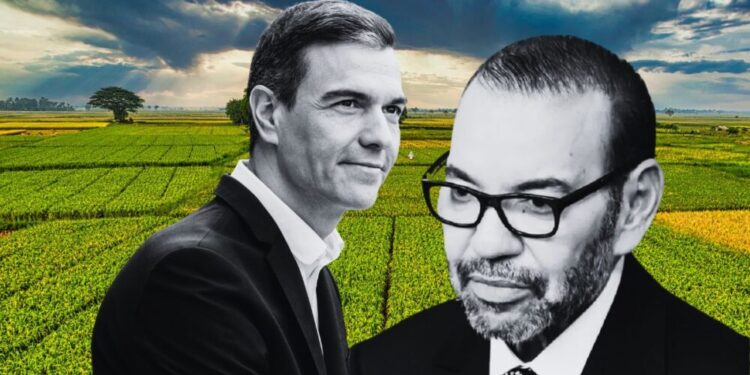 El PSOE apoya que Marruecos oculte el origen de sus productos y desata críticas del PP