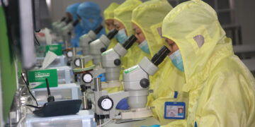 Preocupación en China por el aumento de muertes prematuras de jóvenes investigadores