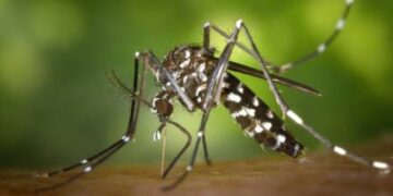 Andalucía suma nuevas zonas en alerta por el Virus del Nilo Occidental y la provincia de Sevilla se sitúa como la más afectada