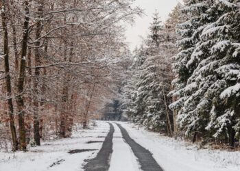 El escenario extremo se activa: La inminente ruptura del Vórtice Polar amenaza a España con un frío inusual en diciembre