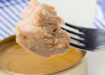 ¿Latas de atún en aceite o al natural? Descubre cuál es la opción más saludable