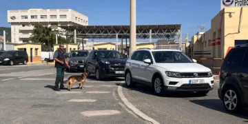 Intervenido más de 6 kilos de hachís en controles en la estación marítima de Ceuta
