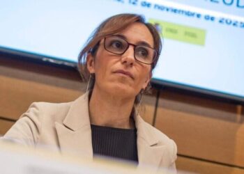 El control de la gripe, ya en fase epidémica, será el foco del Consejo Interterritorial este viernes