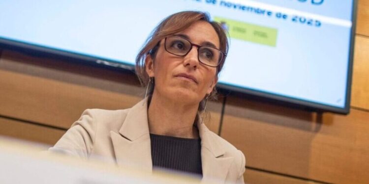 El control de la gripe, ya en fase epidémica, será el foco del Consejo Interterritorial este viernes