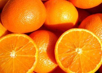 Mercadona comercializará más de 130.000 toneladas de naranja nacional