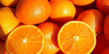 Mercadona comercializará más de 130.000 toneladas de naranja nacional