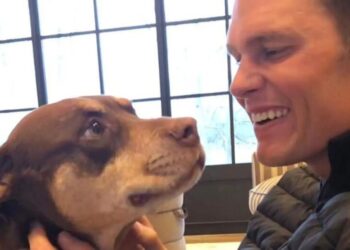 Tom Brady clona a su perra fallecida y se suma al exclusivo club de celebridades con mascotas clonadas