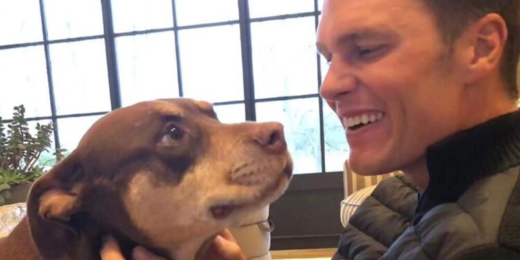 Tom Brady clona a su perra fallecida y se suma al exclusivo club de celebridades con mascotas clonadas