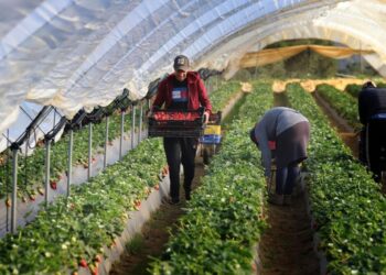 El campo español alerta sobre la pérdida de competitividad frente a las importaciones agrícolas de Marruecos