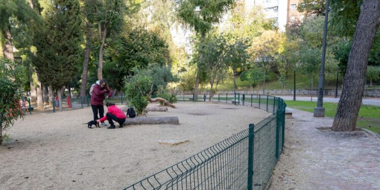 Incertidumbre y dudas marcan el caso de las jóvenes fallecidas en Jaén