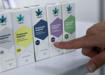 Marruecos impulsa el cultivo legal de cannabis para aprovechar el auge del mercado mundial