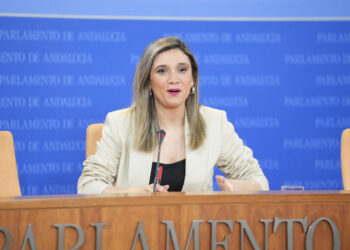 La izquierda andaluza mantiene su apoyo a Amama pese al archivo de la Fiscalía y el PP exige disculpas para los sanitarios