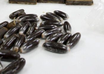 Detenido en el helipuerto de Ceuta cuando intentaba viajar con casi dos kilos de hachís en el cuerpo