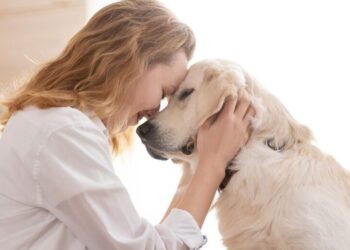 ¿Suele dejar olor tu perro en casa? Esta es la mejor forma de eliminarlo