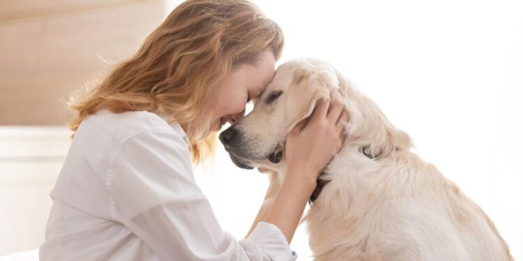 ¿Suele dejar olor tu perro en casa? Esta es la mejor forma de eliminarlo
