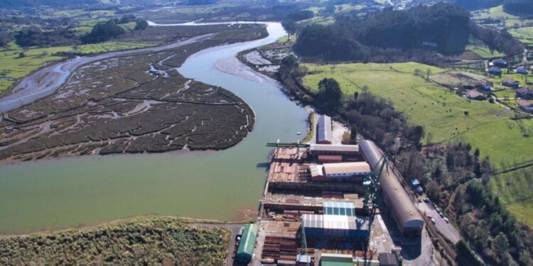 Paralización del Guggenheim Urdaibai tras 17 años de espera