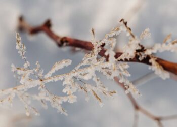 Predicciones meteorológicas para el 1 de diciembre en España
