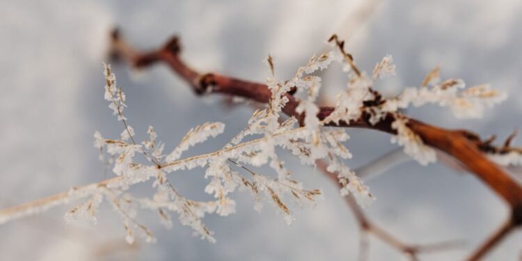 Predicciones meteorológicas para el 1 de diciembre en España