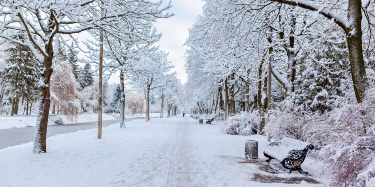 La AEMET lanza una alerta a España ante la llegada de un temporal que recuerde a la nevada Filomena