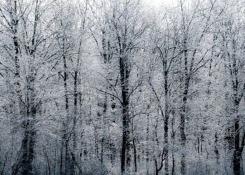 Previsión del tiempo en España para el 3 de diciembre: lluvias y nieve