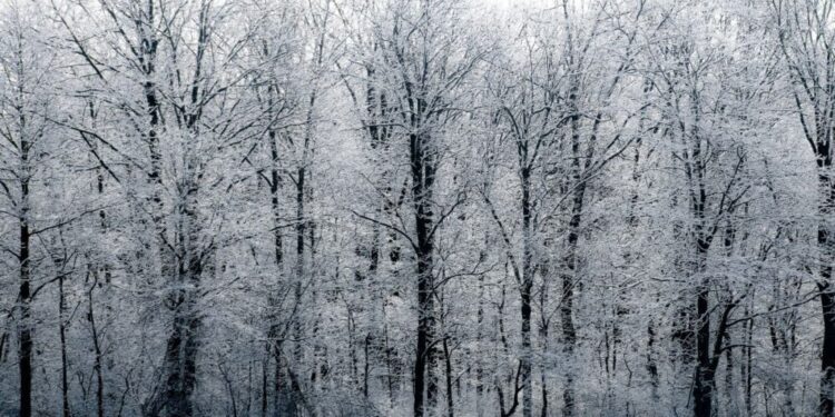 Previsión del tiempo en España para el 3 de diciembre: lluvias y nieve