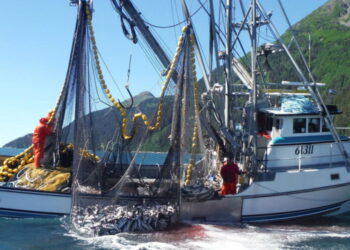 Bruselas da luz verde a mantener la actividad de la flota mediterránea con 143 días de pesca en 2026