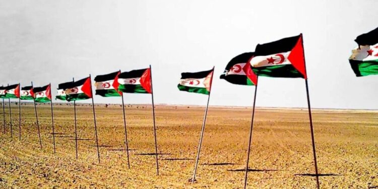 El Frente Polisario rechaza cualquier proceso que «legitime la ocupación» del Sáhara Occidental y exige a la ONU que «asuma su responsabilidad»