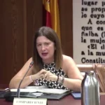 El juez Pedraz rechaza el incidente de nulidad de la exmilitante socialista Leire Díez
