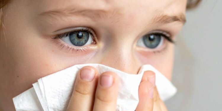 Alerta hospitalaria por la gripe: Urgencias y emergencias advierten de un aumento del 20% en la presión asistencial