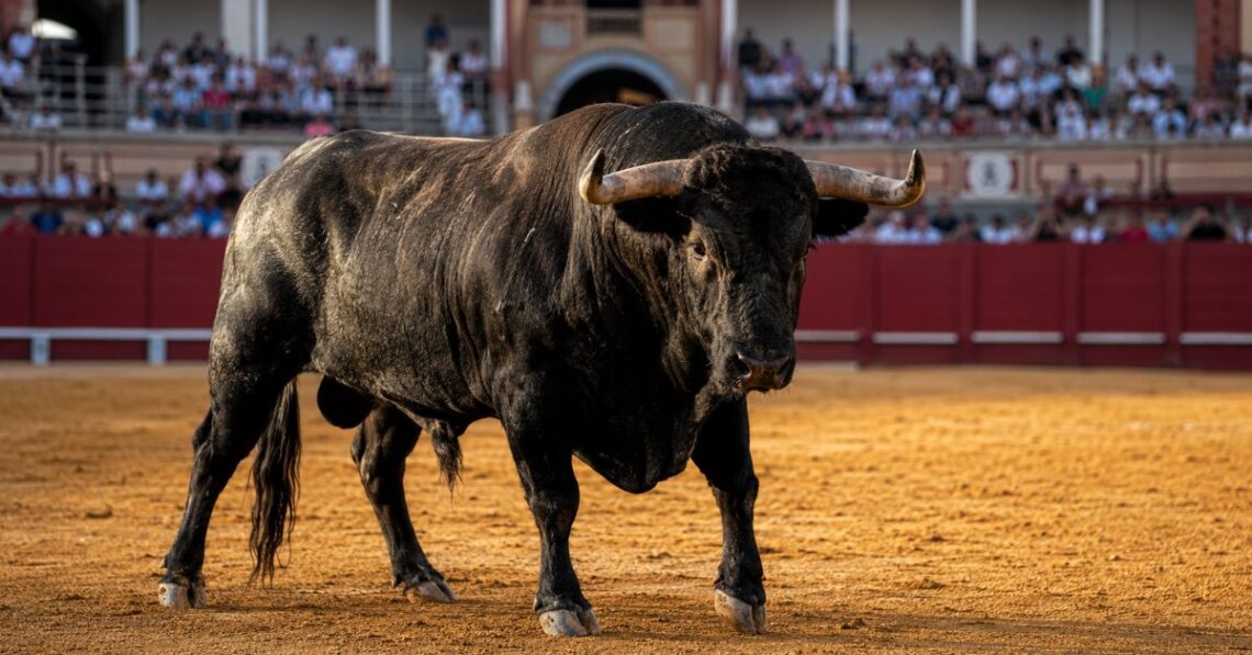 Dónde ver hoy los toros en Las Ventas: cartel, horario y televisión Dónde ver hoy los toros en Las Ventas: cartel, horario y televisión