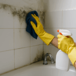 Cómo eliminar la humedad y el moho del baño: guía práctica para recuperarlo y prevenirlo
