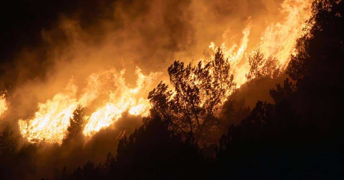 Imagen incendio Madrid Toledo Castellón Ávila