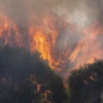 El Gobierno declara la emergencia de interés nacional por la oleada de incendios en Ávila y el suroeste de Madrid